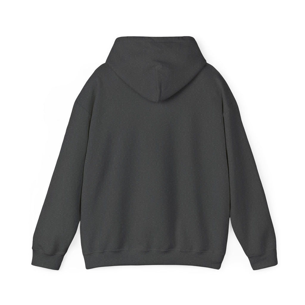 Sudadera Haití 1804 | Sudadera con capucha de orgullo haitiano L'Union Fait La Force